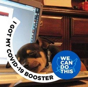 Meet your Posher, Jake